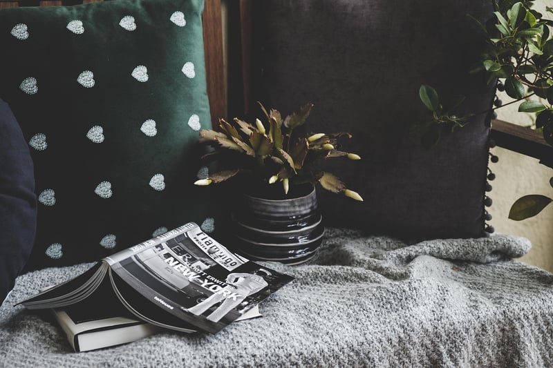 Fairy Lights and Plants