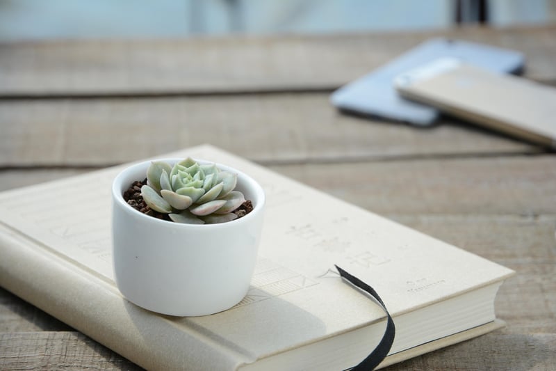 Repurposed Containers