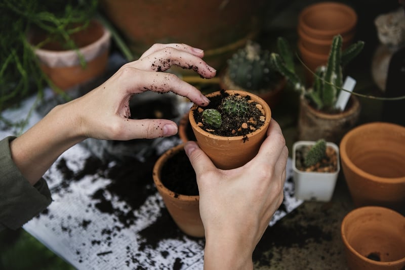 Gardening workshop